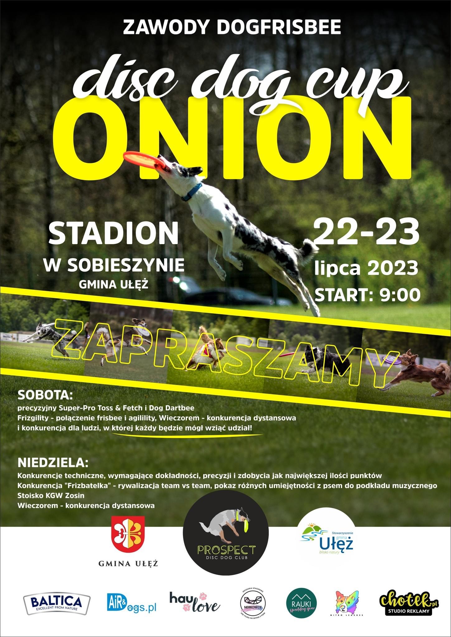 Onion Disc Dog Cup 2023- zawody dogfrisbee na Lubelszczyźnie